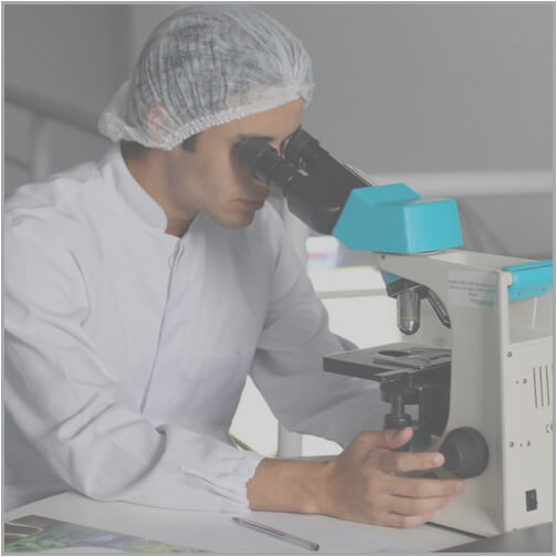 Chemical and generic drugs dominate, with few innovative drugs — competition plays out in channels, marketing, and field promotion