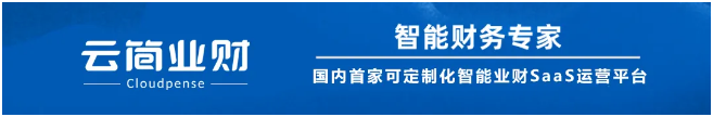 C位出道!行业业财一体解决方案首发